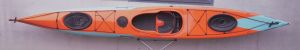 Speedy usato